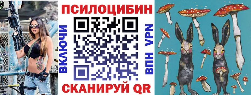 Псилоцибиновые грибы мицелий Муравленко