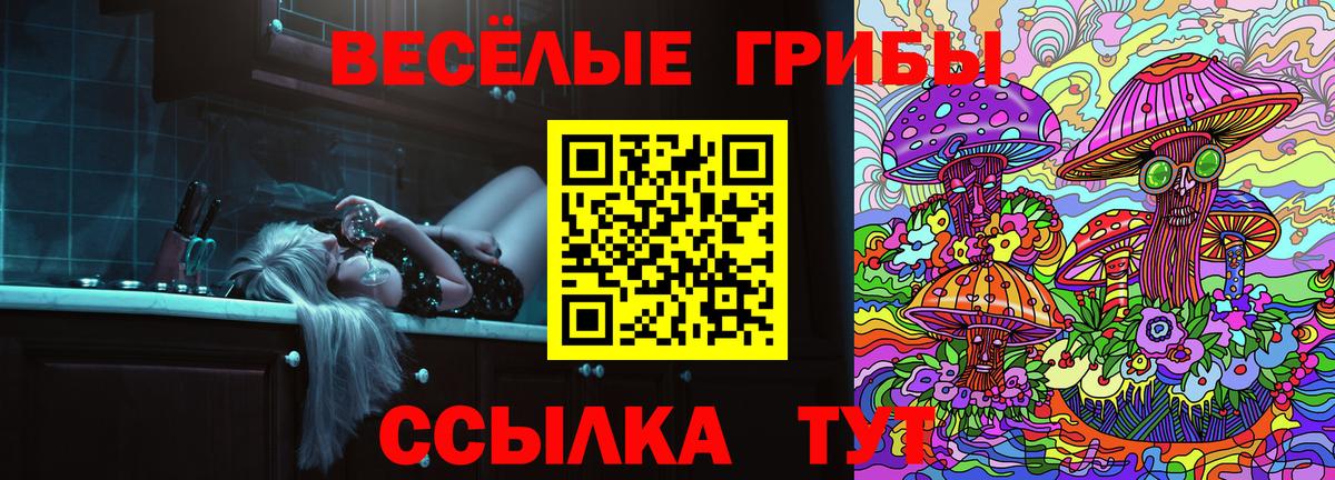 Псилоцибиновые грибы GOLDEN TEACHER  Вход с VPN  Псилоцибиновые грибы Cubensis  Муравленко 