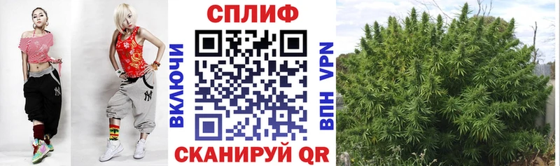 где продают наркотики  Муравленко  Конопля Bruce Banner 